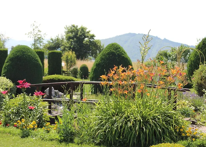 Bed And Breakfast Albatros